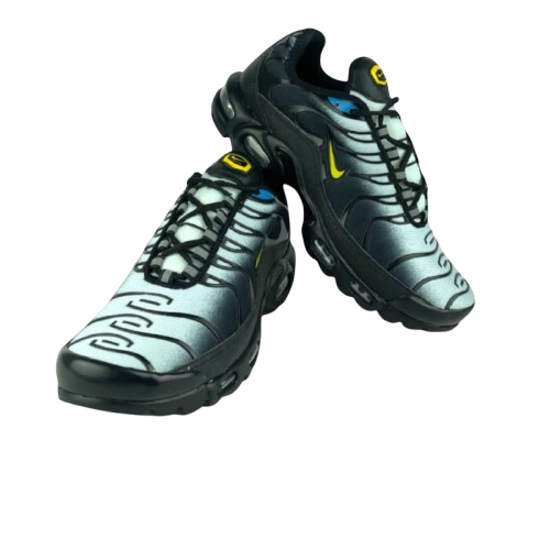 Air Max TN Plus Green Water