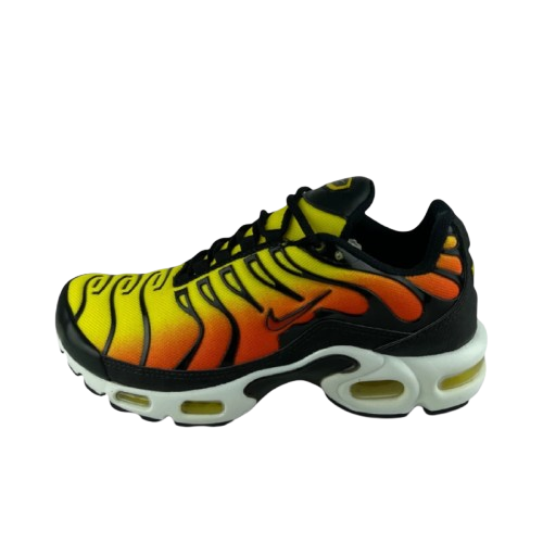 Air Max TN Plus Tiger