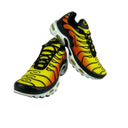 Air Max TN Plus Tiger